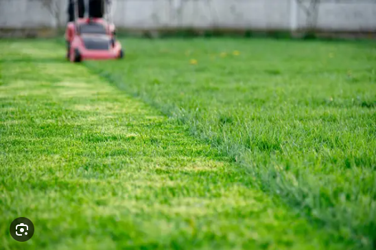 screenshot 2025 08 11 165952