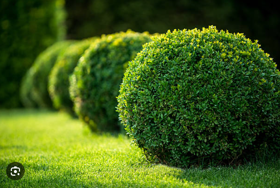 screenshot 2025 08 11 170050