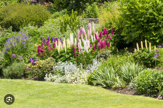 screenshot 2025 08 11 170210