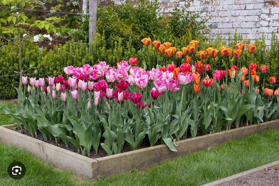 screenshot 2025 08 11 170337