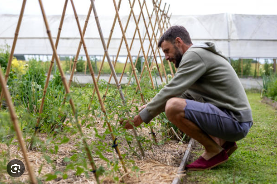 screenshot 2025 08 11 172255